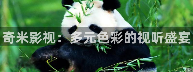 藍莓視頻下載免費觀看：奇米影視：多元色彩的視聽盛宴
